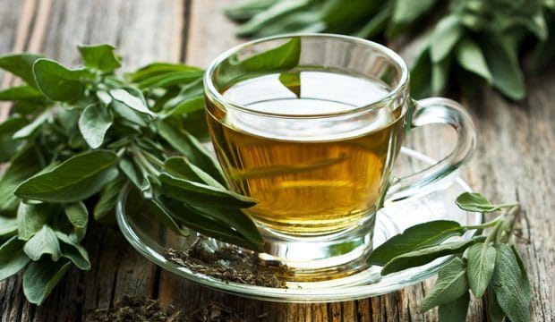 Adaçayı Nedir? Faydaları, Zararları ve Doğru Demleme Rehberi