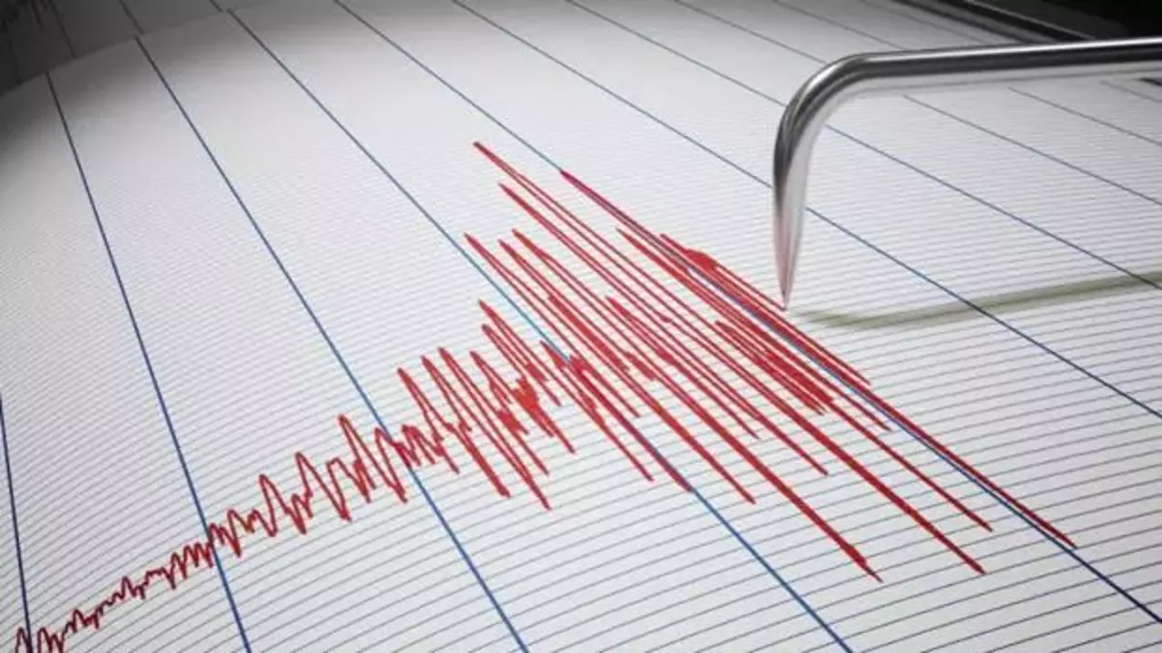 4. Seviye Alarm Nedir, Ne Anlama Gelir? Uluslararası Yardım Çağrısı ve Seviyeleri