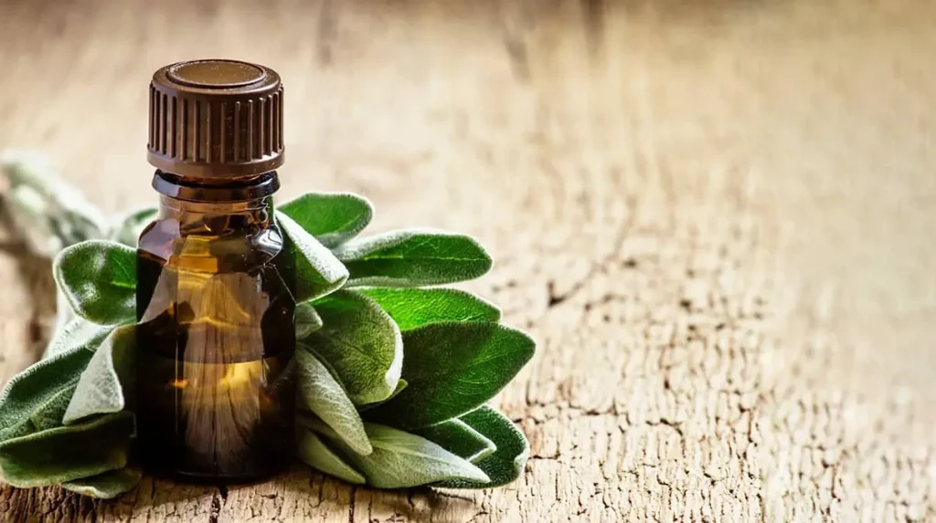 Nioli Yağı Nedir? Faydaları ve Kullanım Alanları Nelerdir?
