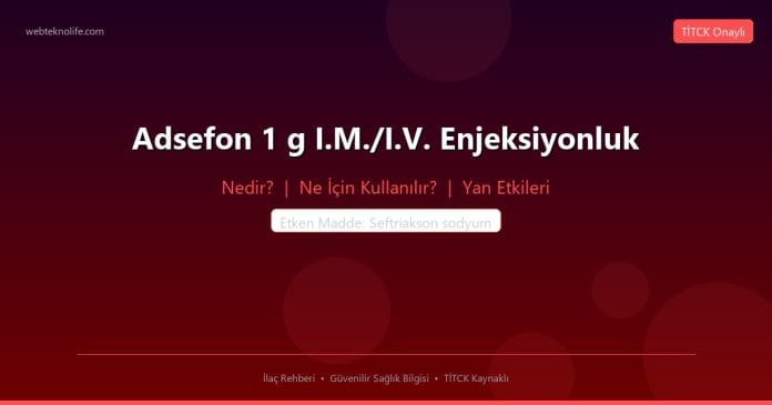 Adsefon 1 g I.M./I.V. Enjeksiyonluk nedir ne işe yarar - ilaç bilgisi