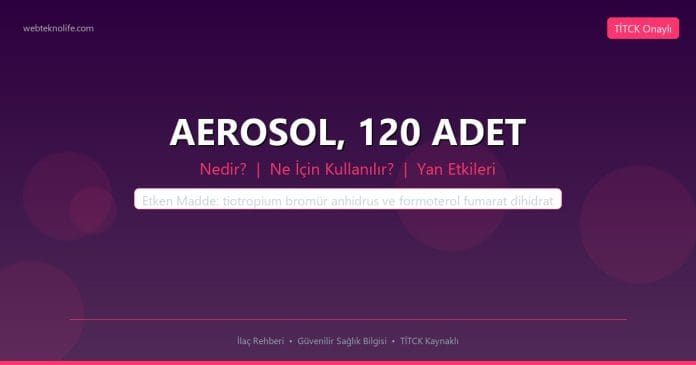 AEROSOL, 120 ADET nedir ne işe yarar - ilaç bilgisi