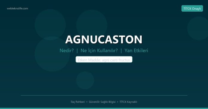 AGNUCASTON nedir ne işe yarar - ilaç bilgisi