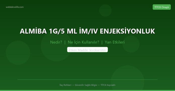 ALMİBA 1G/5 ML İM/IV ENJEKSİYONLUK nedir ne işe yarar - ilaç bilgisi