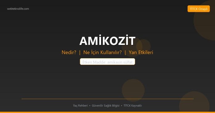 AMİKOZİT nedir ne işe yarar - ilaç bilgisi