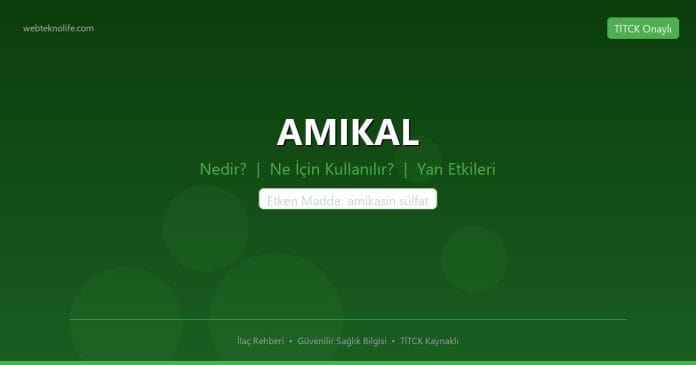 AMIKAL nedir ne işe yarar - ilaç bilgisi