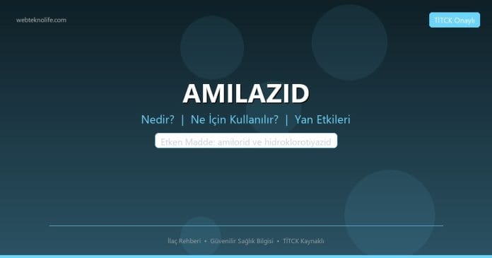 AMILAZID nedir ne işe yarar - ilaç bilgisi