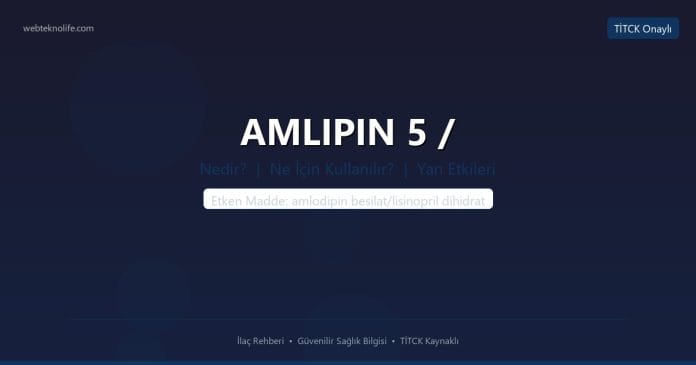 AMLIPIN 5 / nedir ne işe yarar - ilaç bilgisi