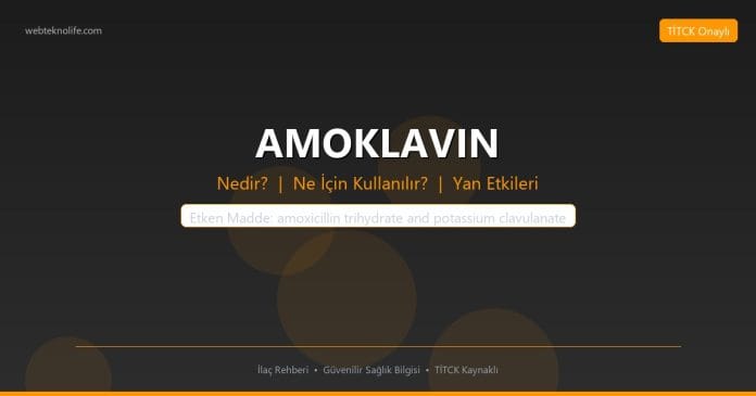 AMOKLAVIN nedir ne ise yarar