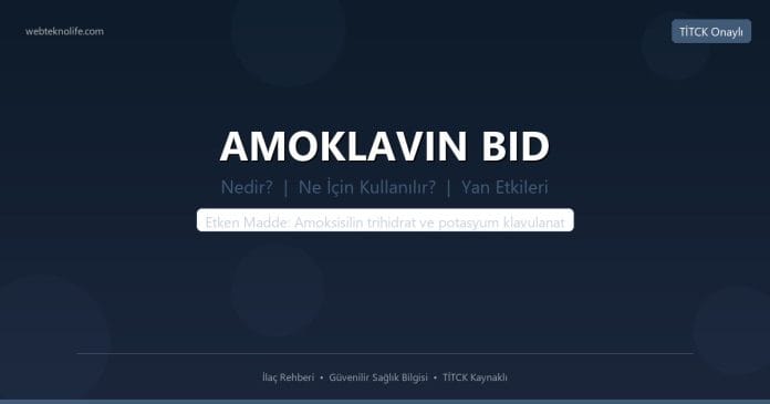 AMOKLAVIN BID nedir ne ise yarar