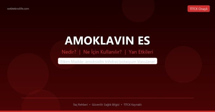 AMOKLAVIN ES nedir ne ise yarar