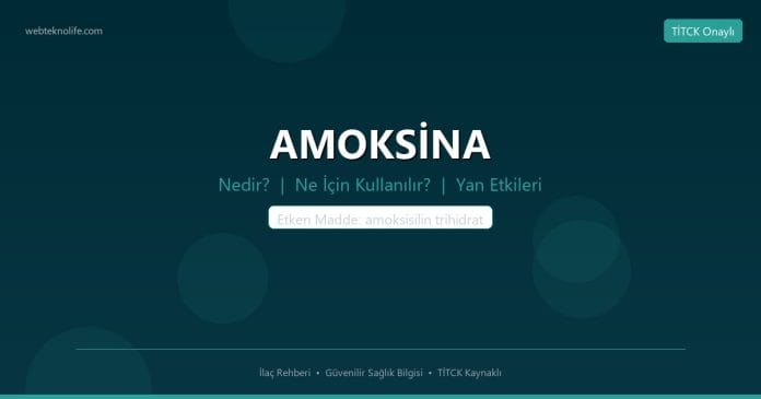 AMOKSİNA nedir ne işe yarar - ilaç bilgisi