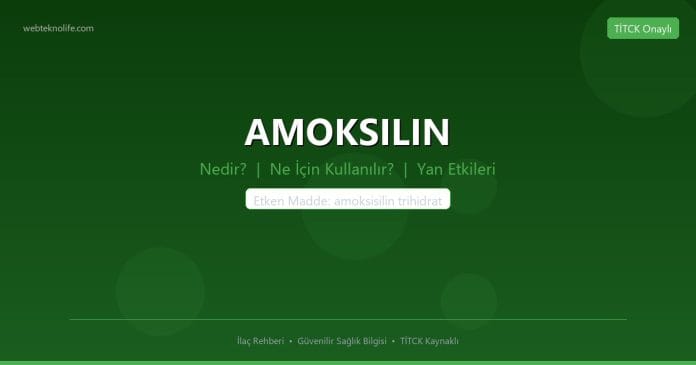 AMOKSILIN nedir ne işe yarar - ilaç bilgisi