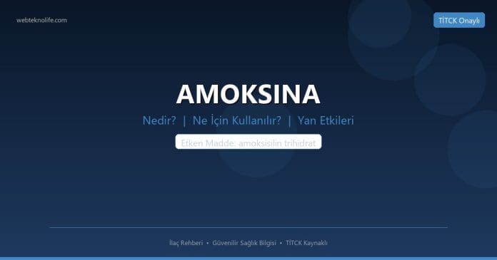 AMOKSINA nedir ne işe yarar - ilaç bilgisi