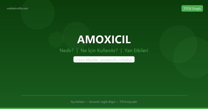AMOXICIL nedir ne işe yarar - ilaç bilgisi