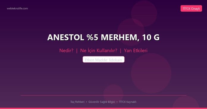 ANESTOL %5 MERHEM, 10 G nedir ne işe yarar - ilaç bilgisi