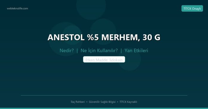 ANESTOL %5 MERHEM, 30 G nedir ne işe yarar - ilaç bilgisi