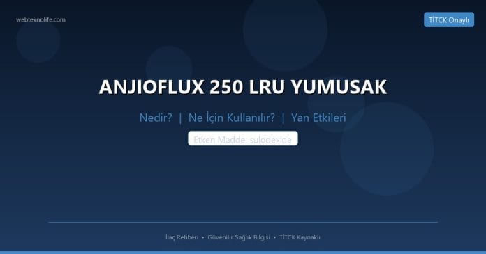 ANJIOFLUX 250 LRU YUMUSAK nedir ne işe yarar - ilaç bilgisi