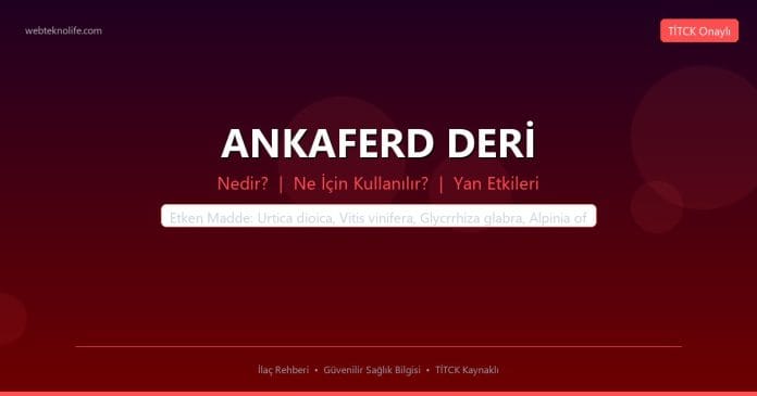 ANKAFERD DERİ nedir ne işe yarar - ilaç bilgisi