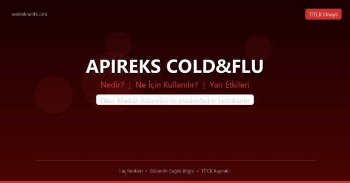APIREKS COLD&FLU nedir ne işe yarar - ilaç bilgisi