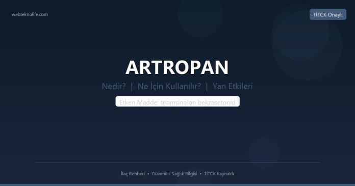 ARTROPAN nedir ne işe yarar - ilaç bilgisi