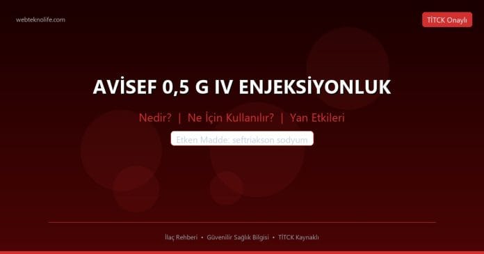 AVİSEF 0,5 G IV ENJEKSİYONLUK nedir ne işe yarar - ilaç bilgisi