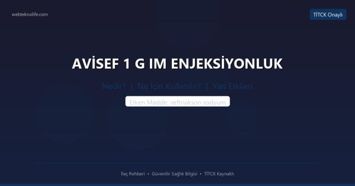 AVİSEF 1 G IM ENJEKSİYONLUK nedir ne işe yarar - ilaç bilgisi