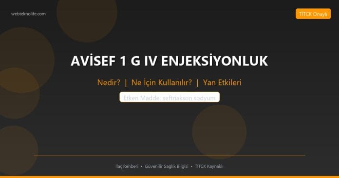 AVİSEF 1 G IV ENJEKSİYONLUK nedir ne işe yarar - ilaç bilgisi