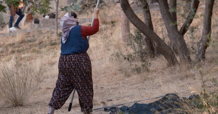 Burun Karıştırmak: Göz Ardı Edilen Tehlikeli Bir Alışkanlık