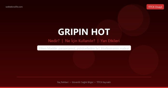 GRIPIN HOT nedir ne işe yarar - ilaç bilgisi