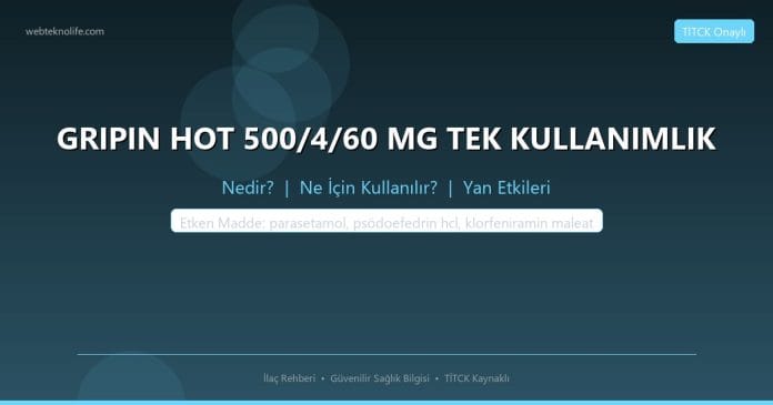 GRIPIN HOT 500/4/60 MG TEK KULLANIMLIK nedir ne işe yarar - ilaç bilgisi