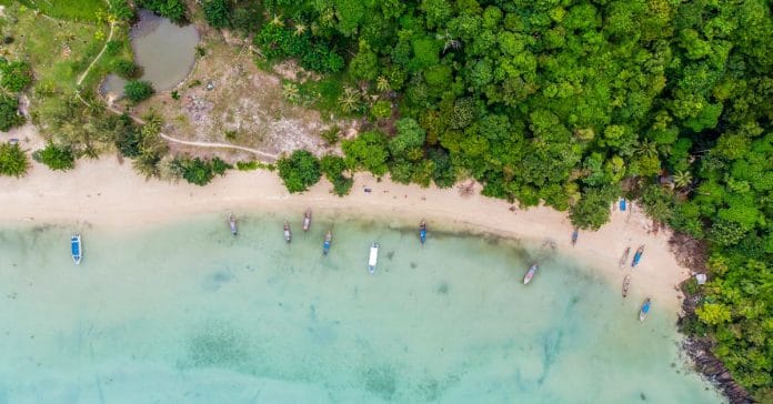 Survivor 2026 Kazançları: Ünlüler ve Gönüllüler Ne Kadar Alıyor?