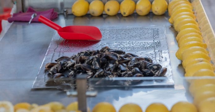 Türkiye'nin Ekonomi Gündemi: Piyasalar ve Beklentiler