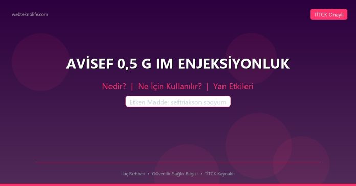 AVİSEF 0,5 G IM ENJEKSİYONLUK nedir ne işe yarar - ilaç bilgisi