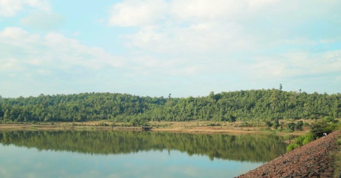 Barajlar: Türkiye'nin Su Kaynakları ve Enerji Gücü