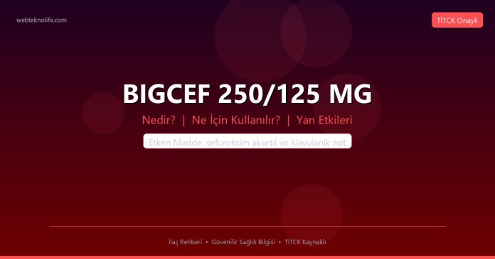 BIGCEF 250/125 MG nedir ne işe yarar - ilaç bilgisi