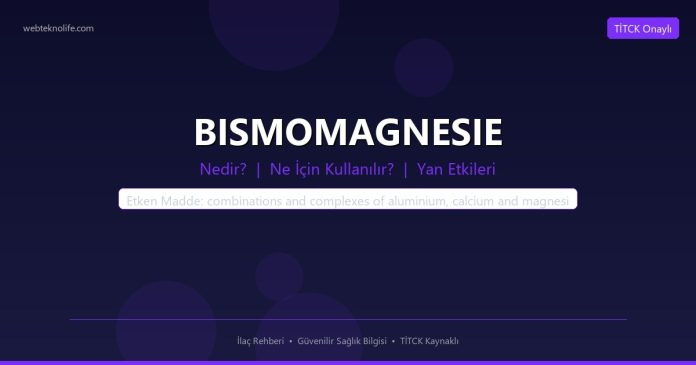 BISMOMAGNESIE nedir ne işe yarar - ilaç bilgisi