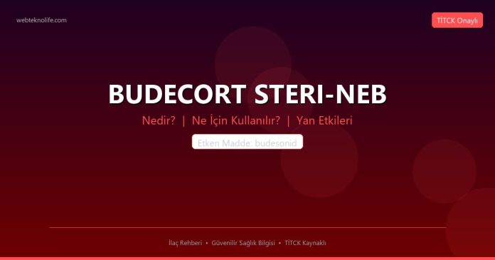 BUDECORT STERI-NEB nedir ne işe yarar - ilaç bilgisi
