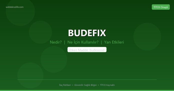 BUDEFIX nedir ne işe yarar - ilaç bilgisi
