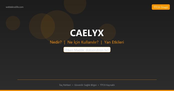 CAELYX nedir ne işe yarar - ilaç bilgisi