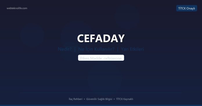 CEFADAY nedir ne işe yarar - ilaç bilgisi