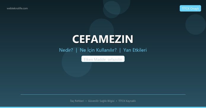 CEFAMEZIN nedir ne işe yarar - ilaç bilgisi