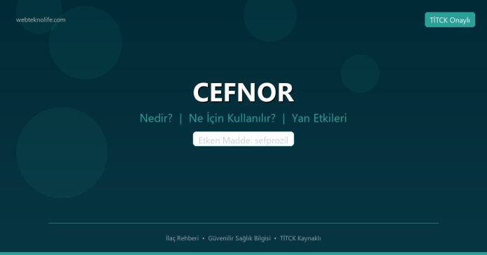 CEFNOR nedir ne işe yarar - ilaç bilgisi