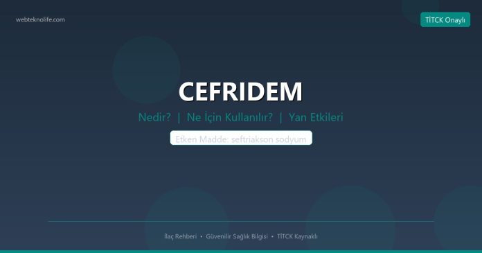 CEFRIDEM nedir ne işe yarar - ilaç bilgisi