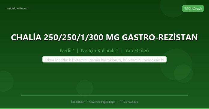 CHALİA 250/250/1/300 MG GASTRO-REZİSTAN nedir ne işe yarar - ilaç bilgisi