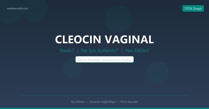 CLEOCIN VAGINAL nedir ne işe yarar - ilaç bilgisi