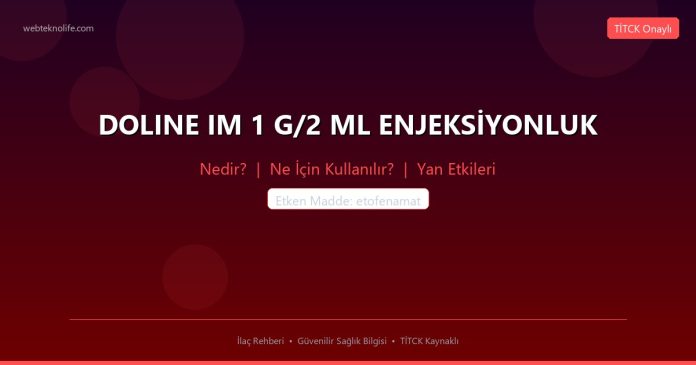 DOLINE IM 1 G/2 ML ENJEKSİYONLUK nedir ne işe yarar - ilaç bilgisi