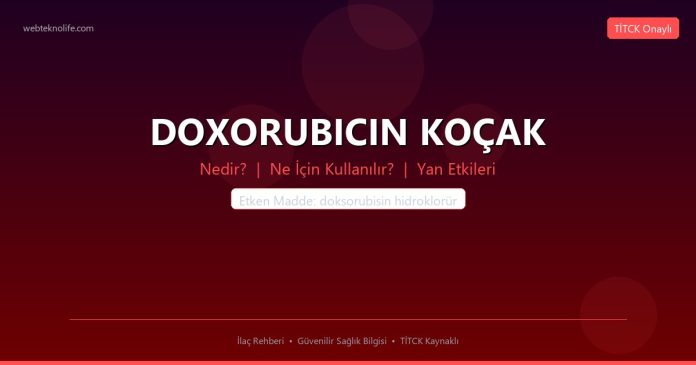 DOXORUBICIN KOÇAK nedir ne işe yarar - ilaç bilgisi