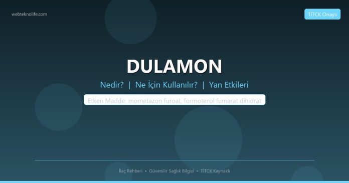 DULAMON nedir ne işe yarar - ilaç bilgisi