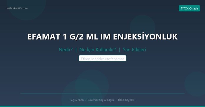 EFAMAT 1 G/2 ML IM ENJEKSİYONLUK nedir ne işe yarar - ilaç bilgisi