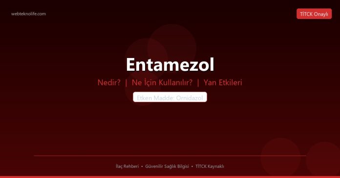 Entamezol nedir ne işe yarar - ilaç bilgisi